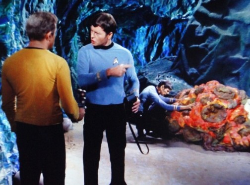 Spock Mind Melding With the Silica Based Horta